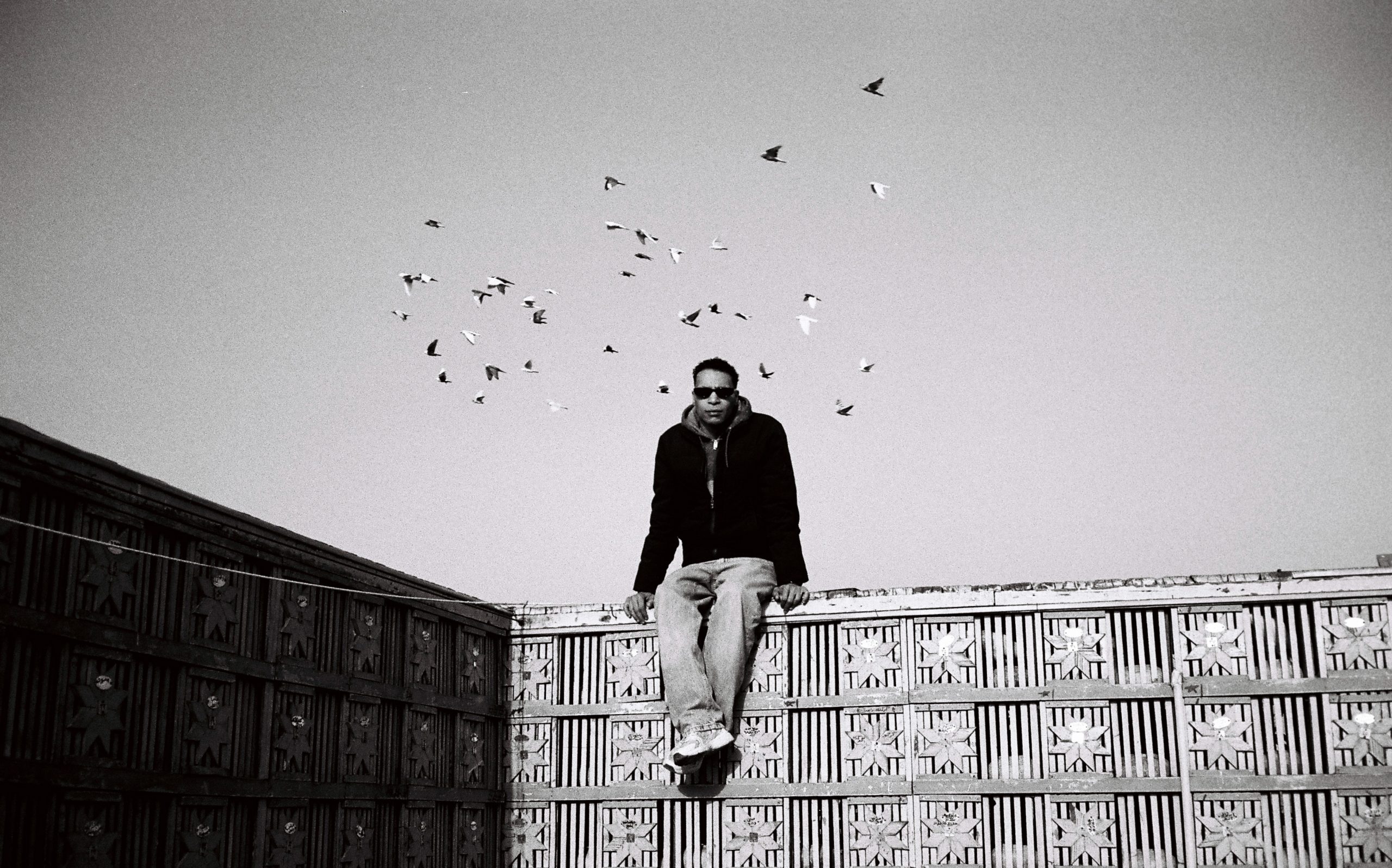 BIRDS-GARBAGE-CITY_Mesa de trabajo 1 copia 4