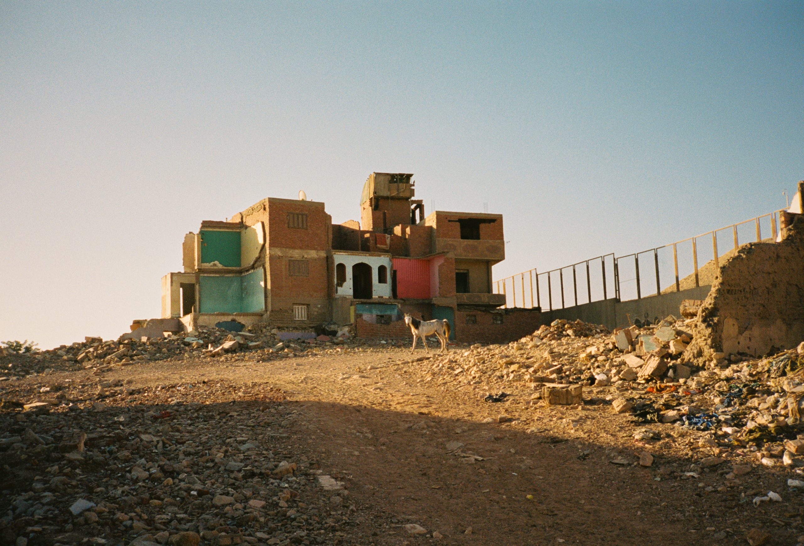 CAIRO_FILM_HORIZONTAL-13